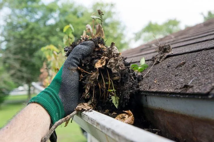 Clear gutters after professional cleaning