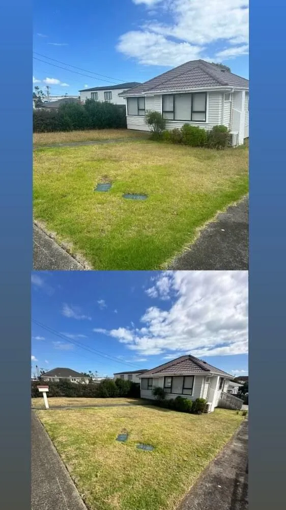 Professional lawn mowing service Auckland