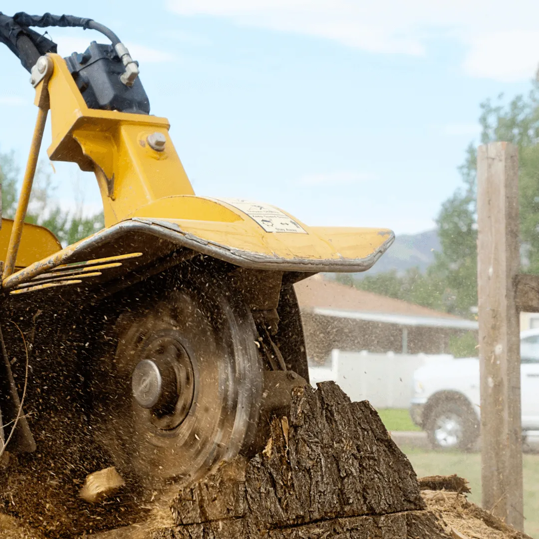 Stump Grinding