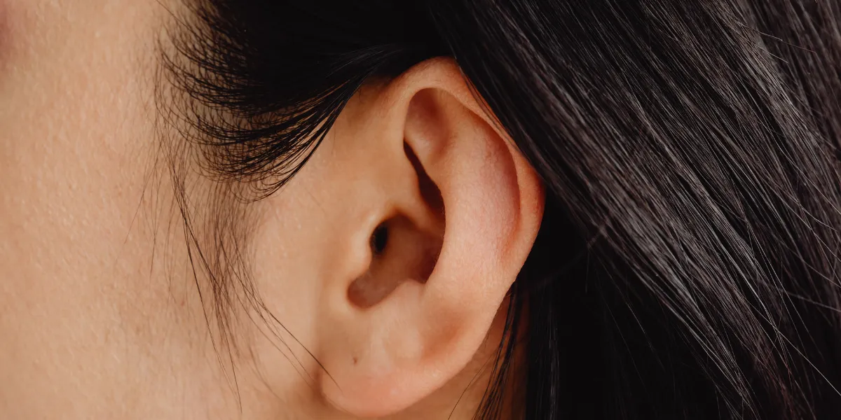 Close Up image of an ear
