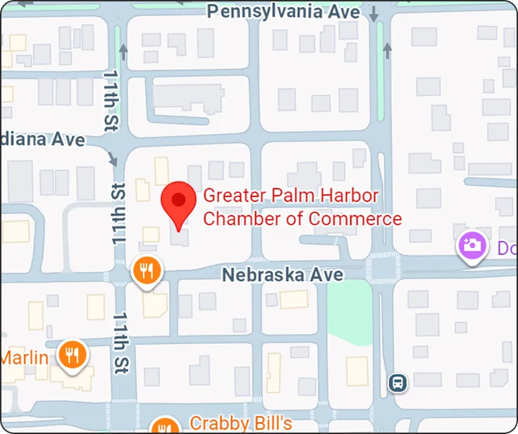 Map showing the Pinellas County Veterans Association location in Palm Harbor, Florida