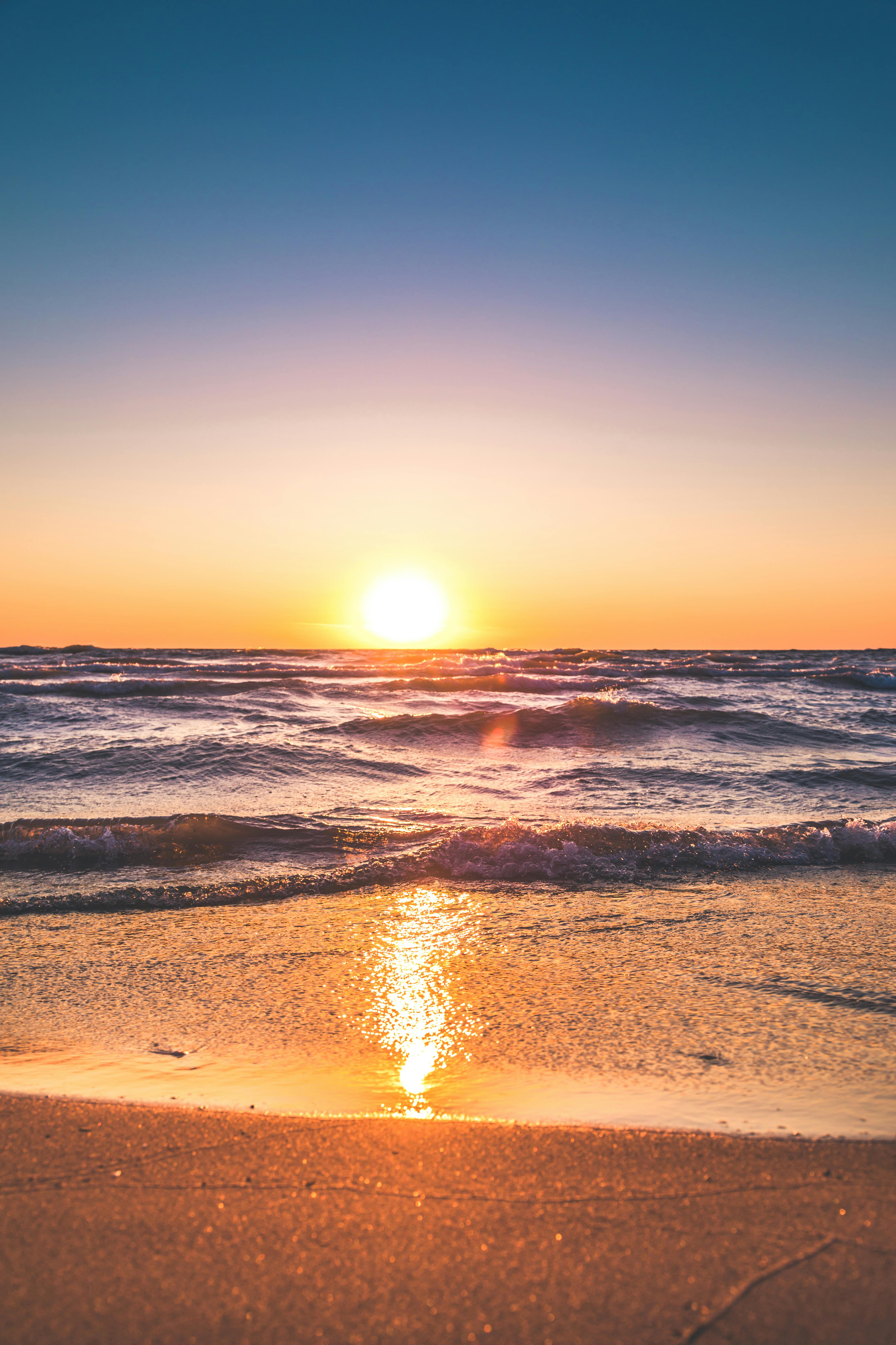 Do Not Move to the Wrong Part of Charleston: How to Choose the Right Area 