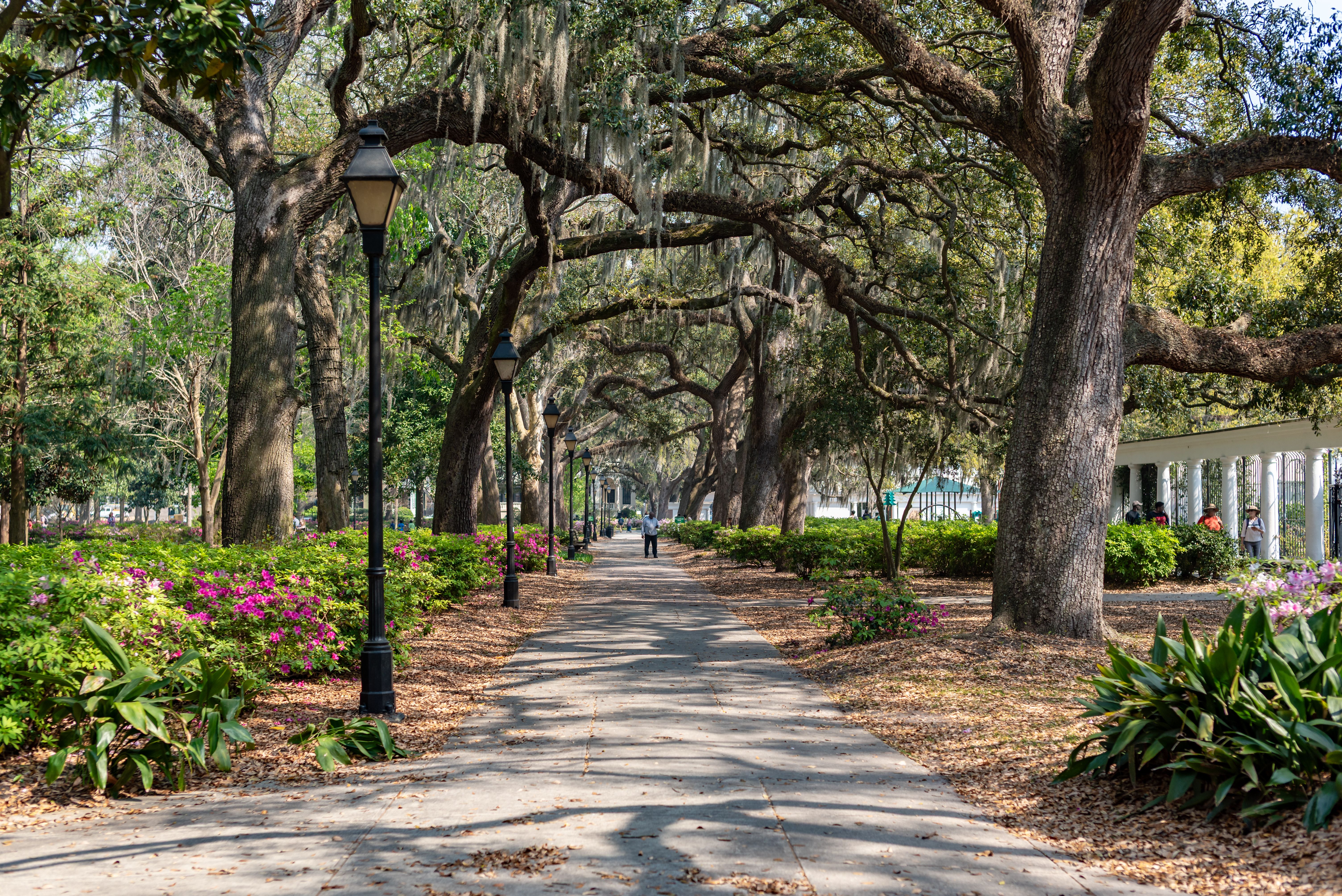 Charleston