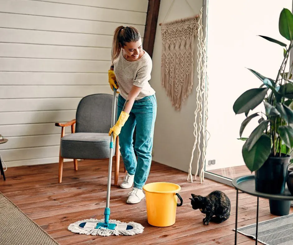 End of Stay Cleaning for Airbnb Properties