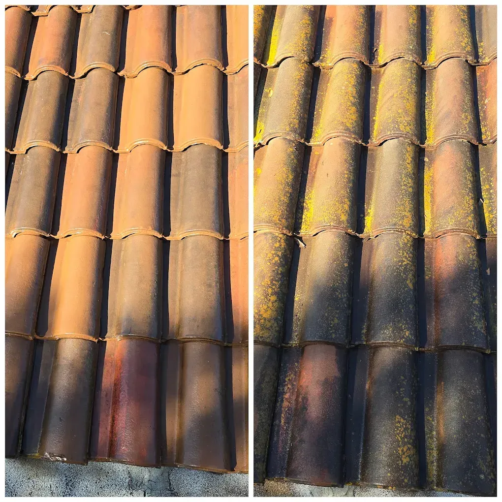 Roof Washing in San Antonio