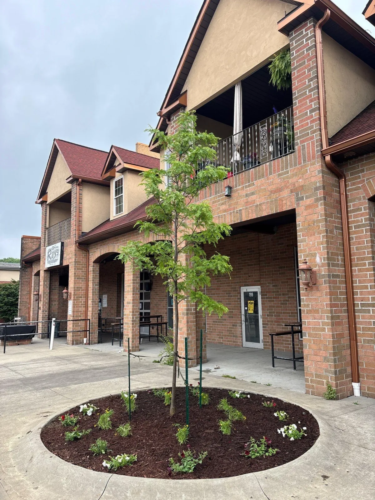 Newly planted tree with fresh mulch and flowers in a commercial landscape, illustrating tree planting services.