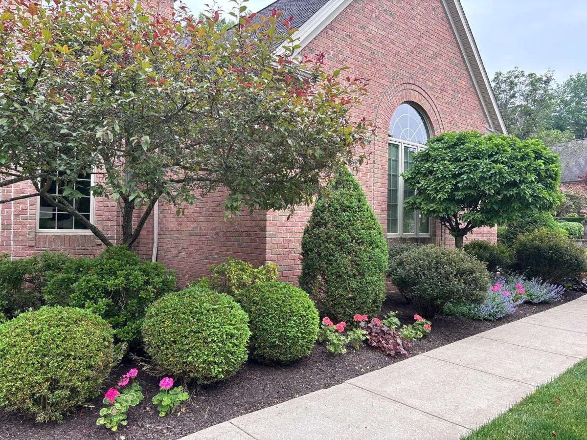 Healthy, well-maintained landscape with thriving trees and shrubs, showcasing expert soil and plant health care.