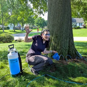 Master arborist performing an on-site tree assessment or health check.