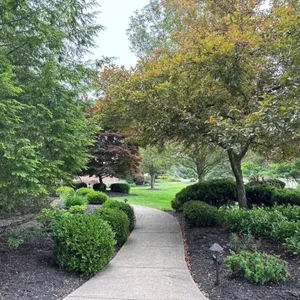 Vibrant landscape with diverse trees and shrubs thriving from annual care plans.