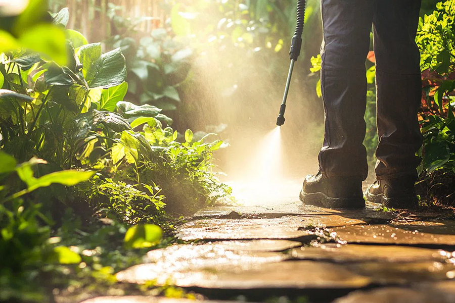 ⁠Indoor Repairs & Maintenance Adamstown