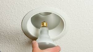 Specialist Maintenance Adamstown