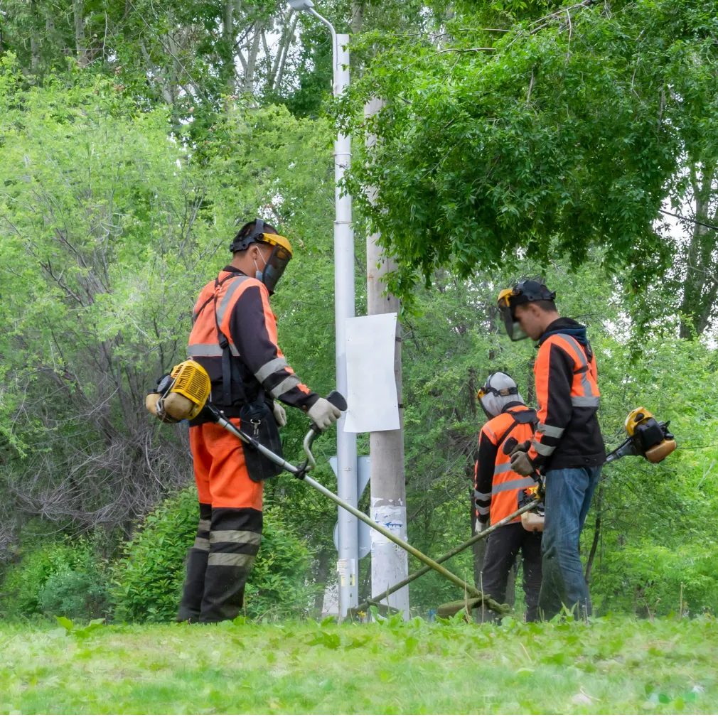 HOA Maintenance