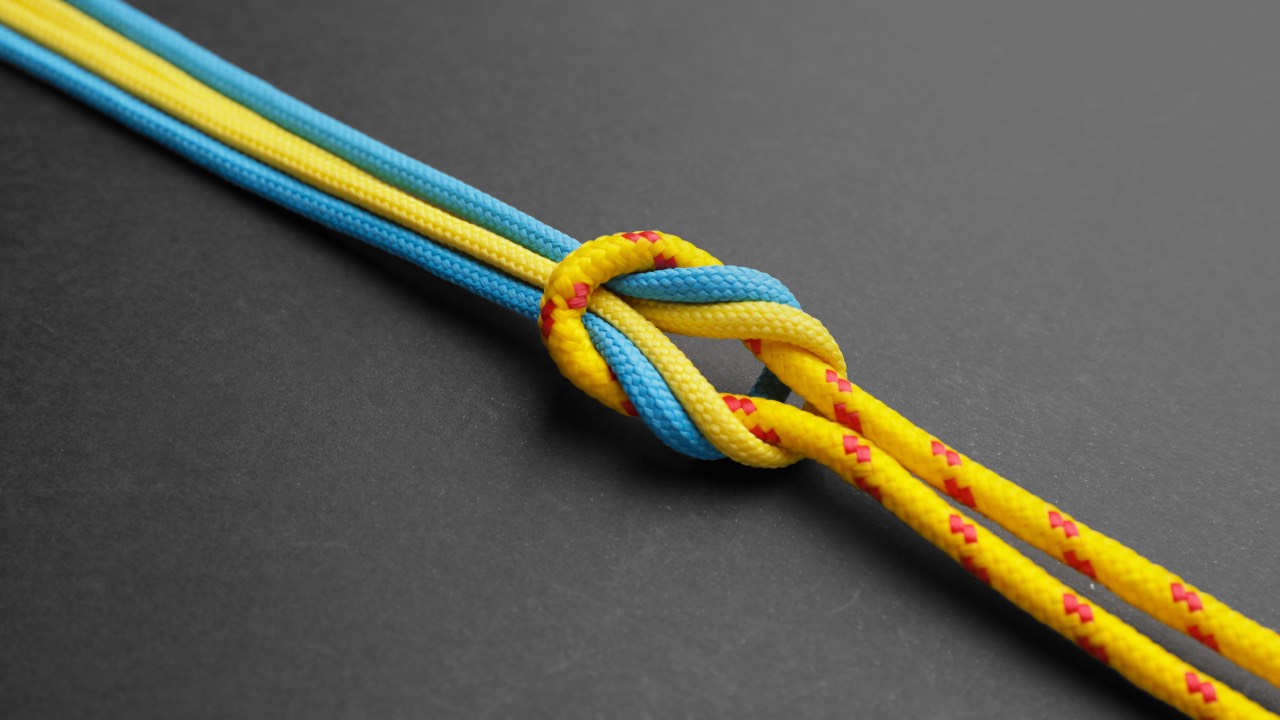 Coloured ropes tied in a knot, symbolising strong workplace bonds and connection.