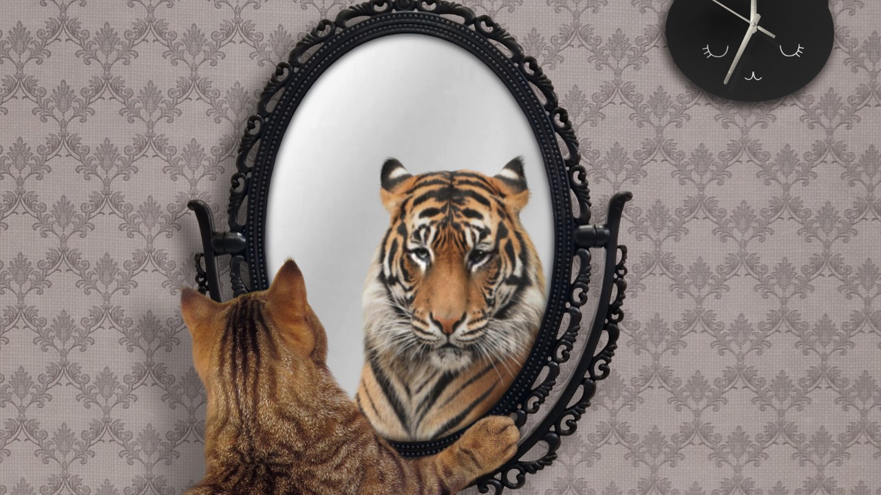 How Well Do You Know Yourself? The Power of Accurate Self Assessment