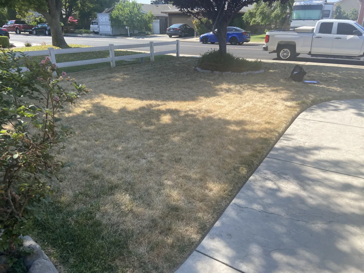 Artificial Grass in Turlock California