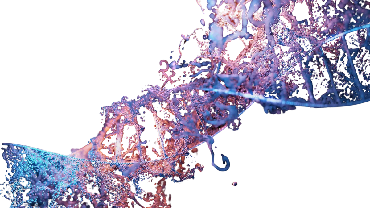 Image of DNA helix