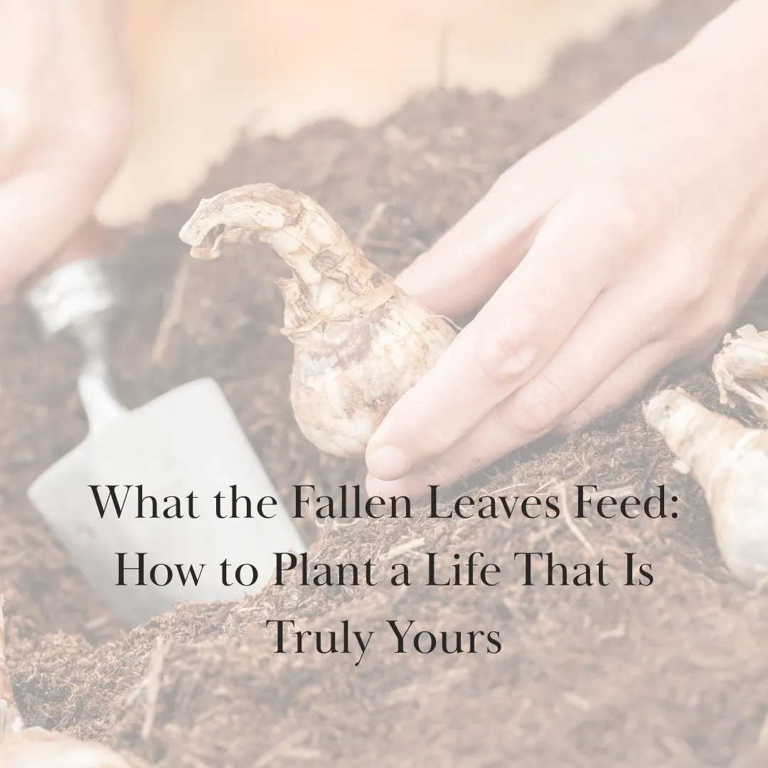 What the Fallen Leaves Feed: How to Plant a Life That Is Truly Yours
