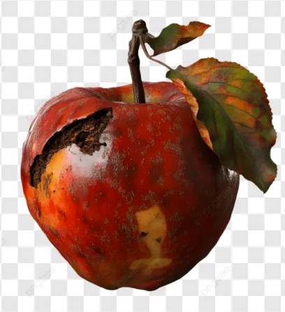 The Bruised Apple on My Kitchen Counter