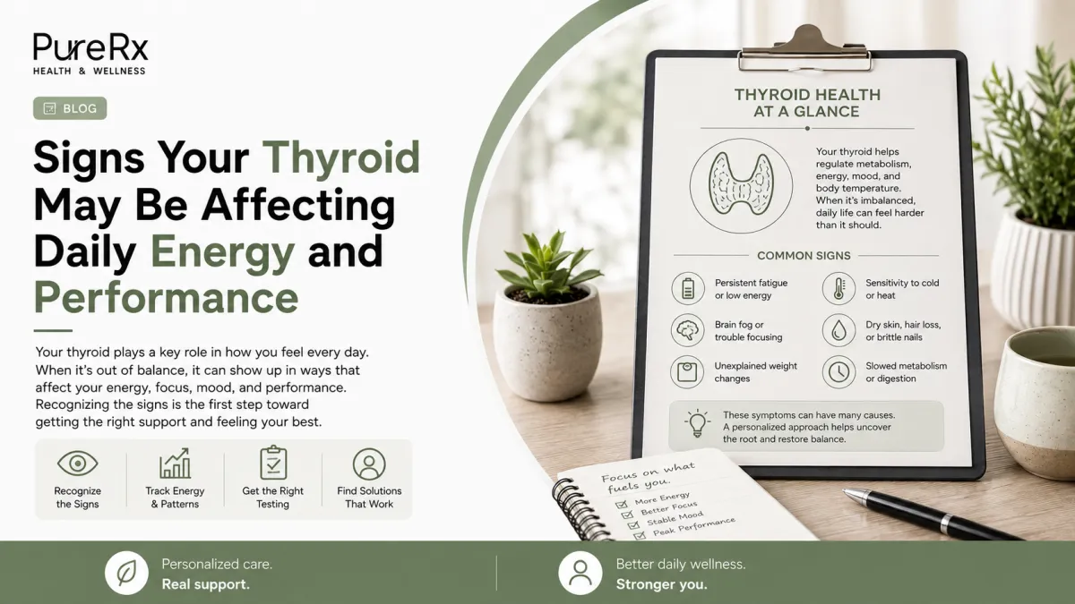 Signs Your Thyroid May Be Affecting Daily Energy and Performance
