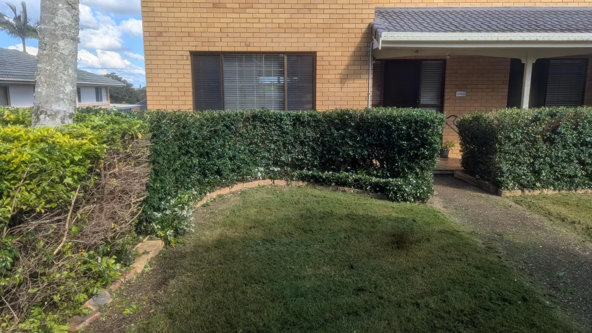 Hedge Trimming North Brisbane