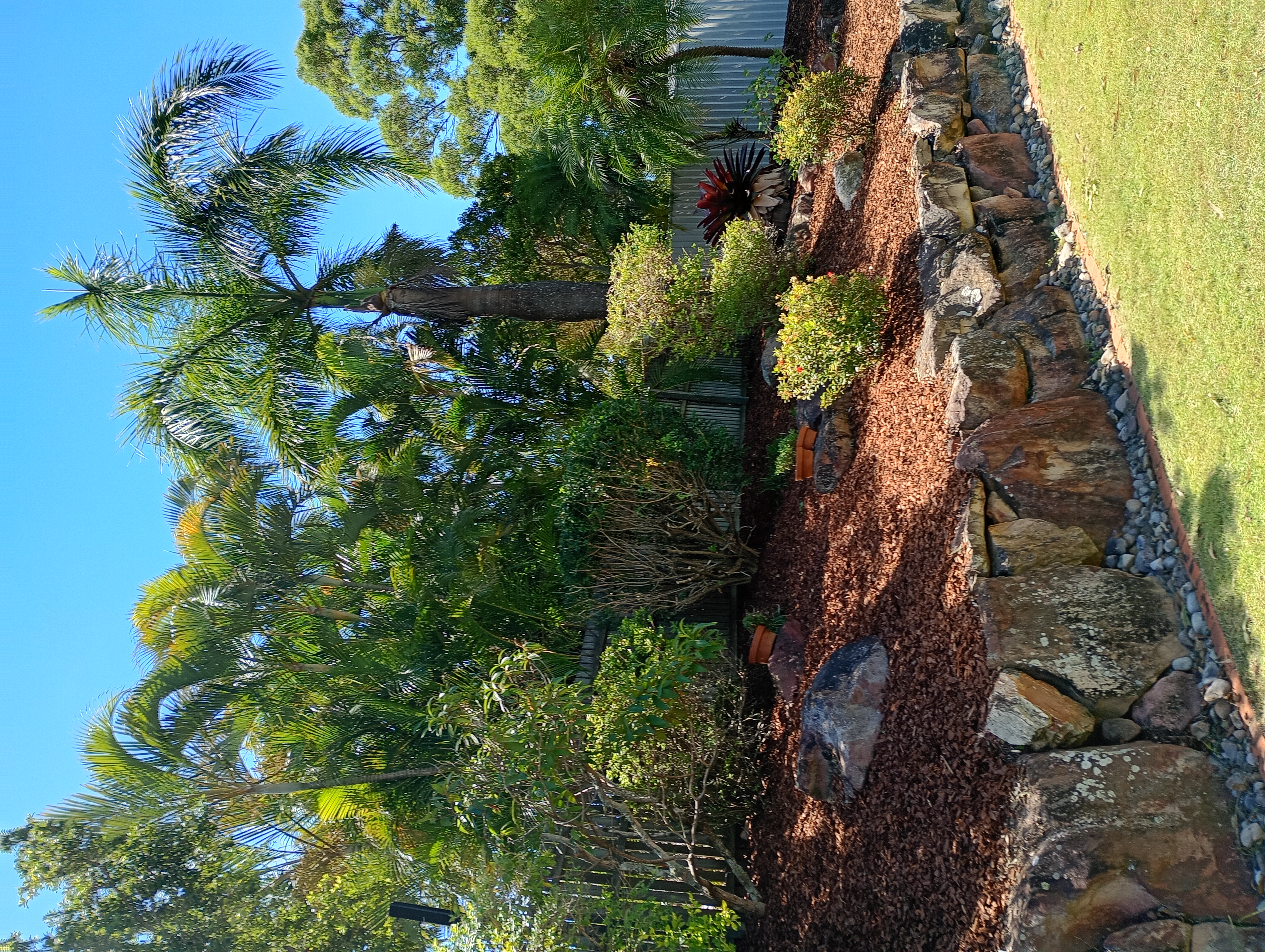 Before R1 Hedge Trimming Services Aspley