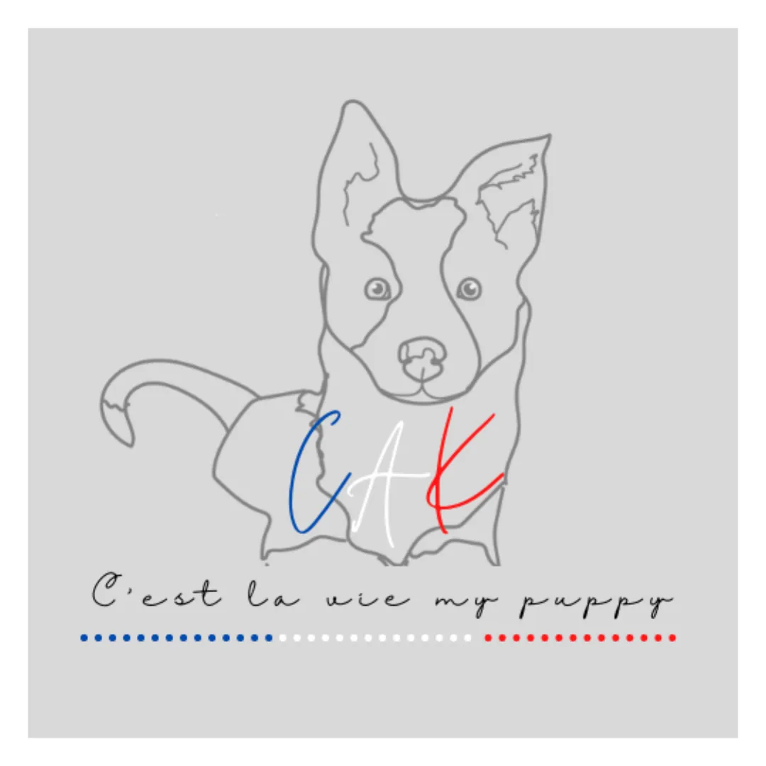 Bespoke Ceremony brand logo