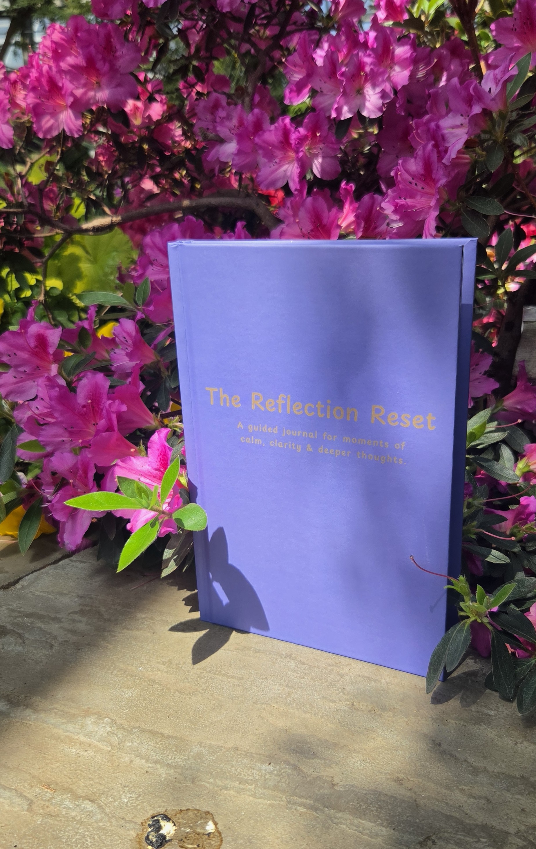 The Reflection Reset hardcover wellness journal by Dee Gilmore