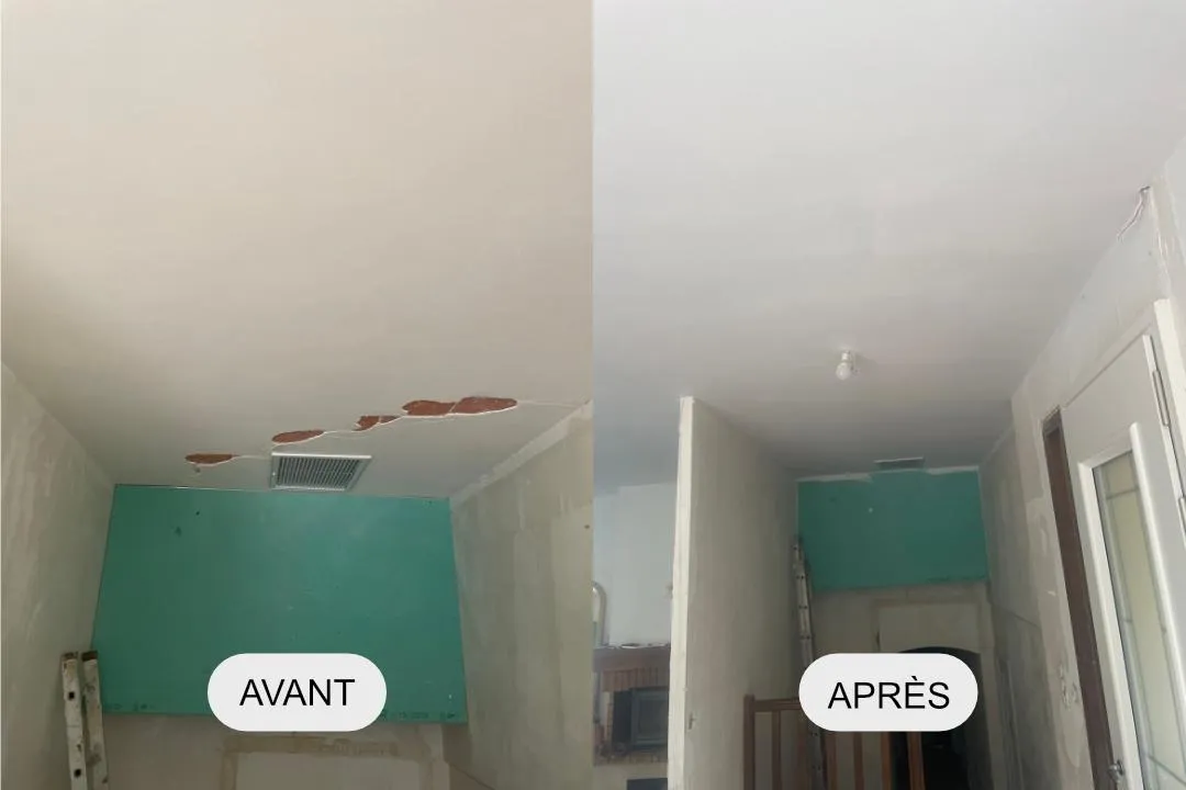 David Service - peintre albi