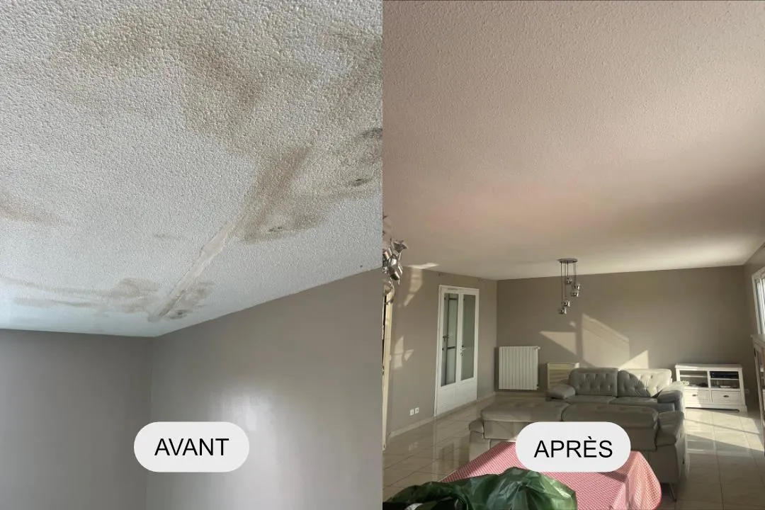 David Service - peintre albi