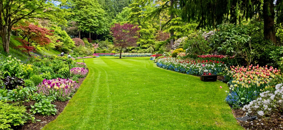 Spring Landscaping Ideas for Port Charlotte FL Homes