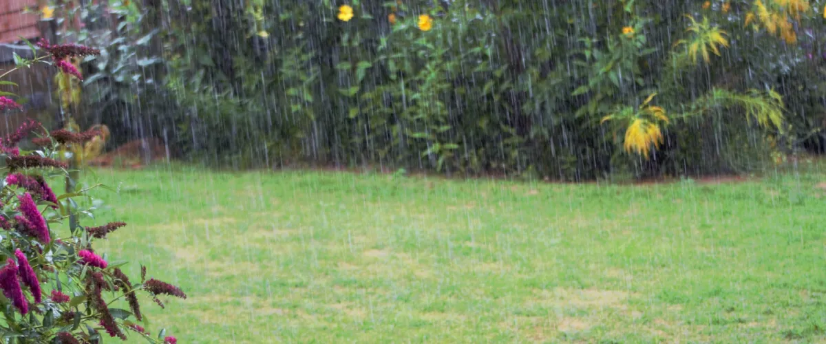 Rainy Season Lawn Tips for Englewood FL | Charlotte County Lawncare