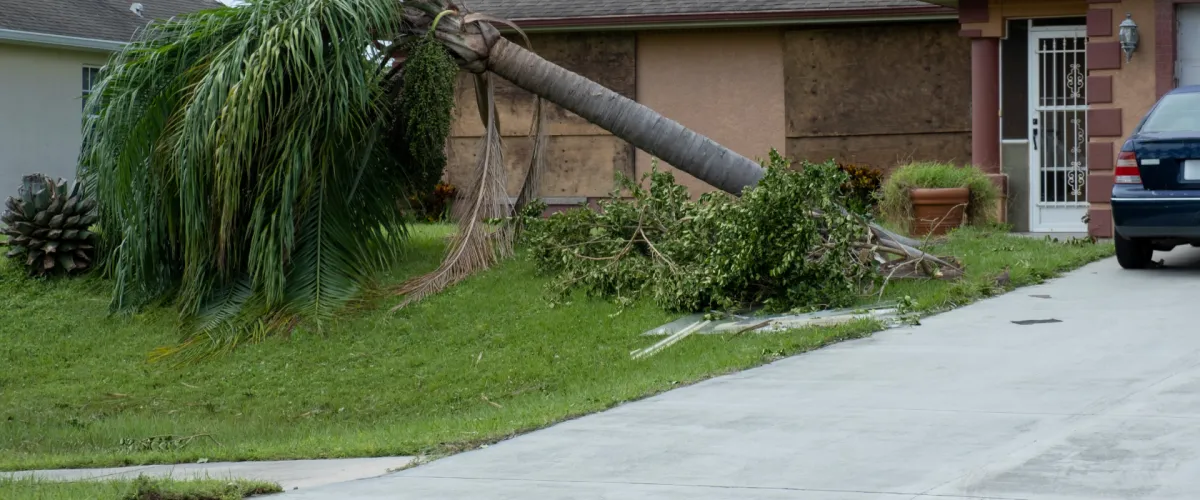 How Hurricane Season Affects Your Lawn in Charlotte County