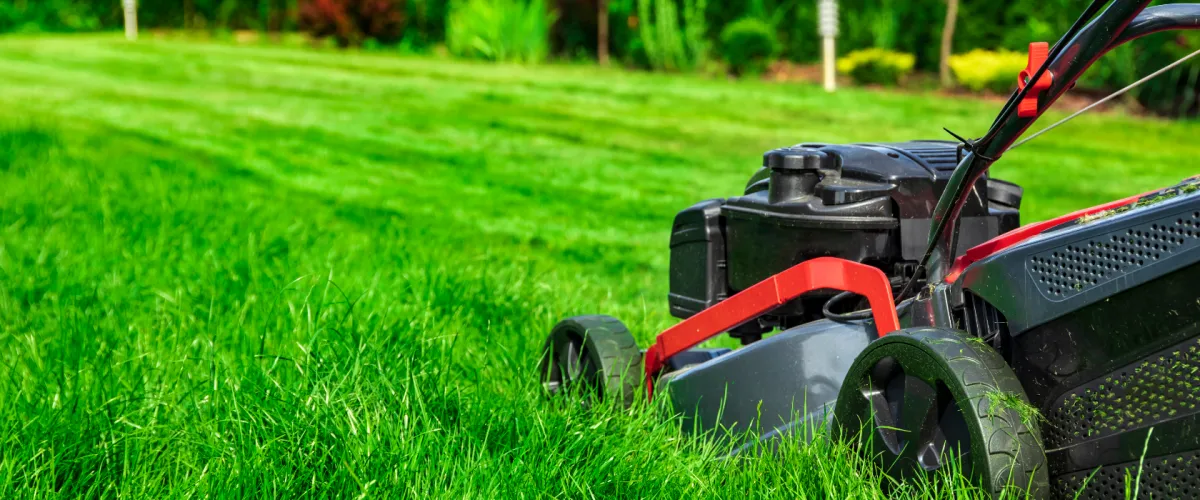 Best Time to Mow Lawn Port Charlotte FL | Charlotte County Lawns