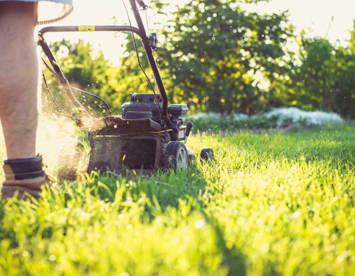 Lawn Care Tips for Englewood FL Homeowners