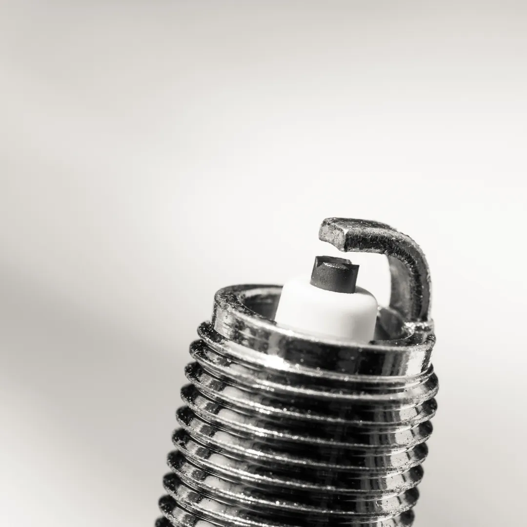 Outdoors & Home Exterior