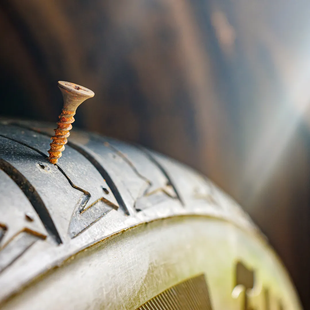 Carpentry & Renovations