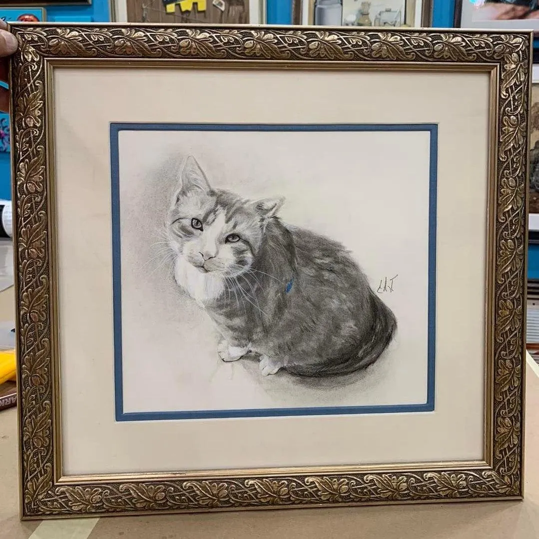 The Cat