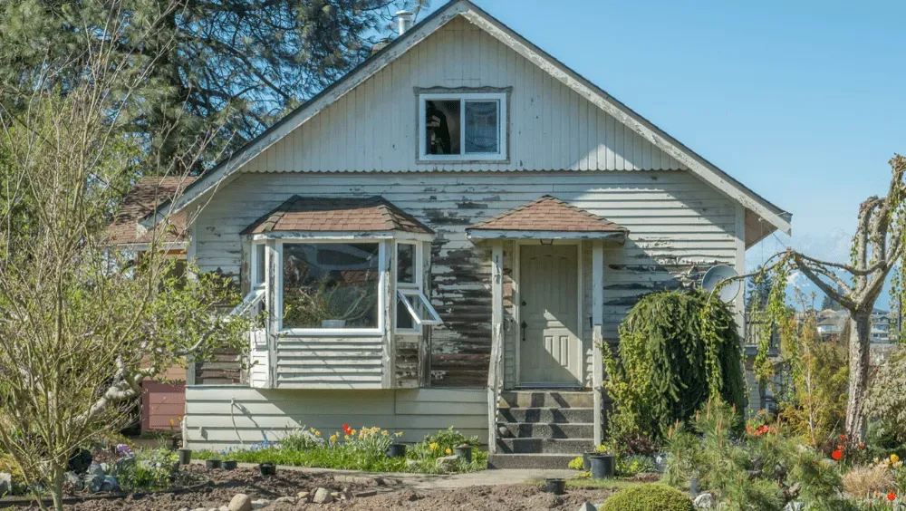 green trees near white 2-story house
