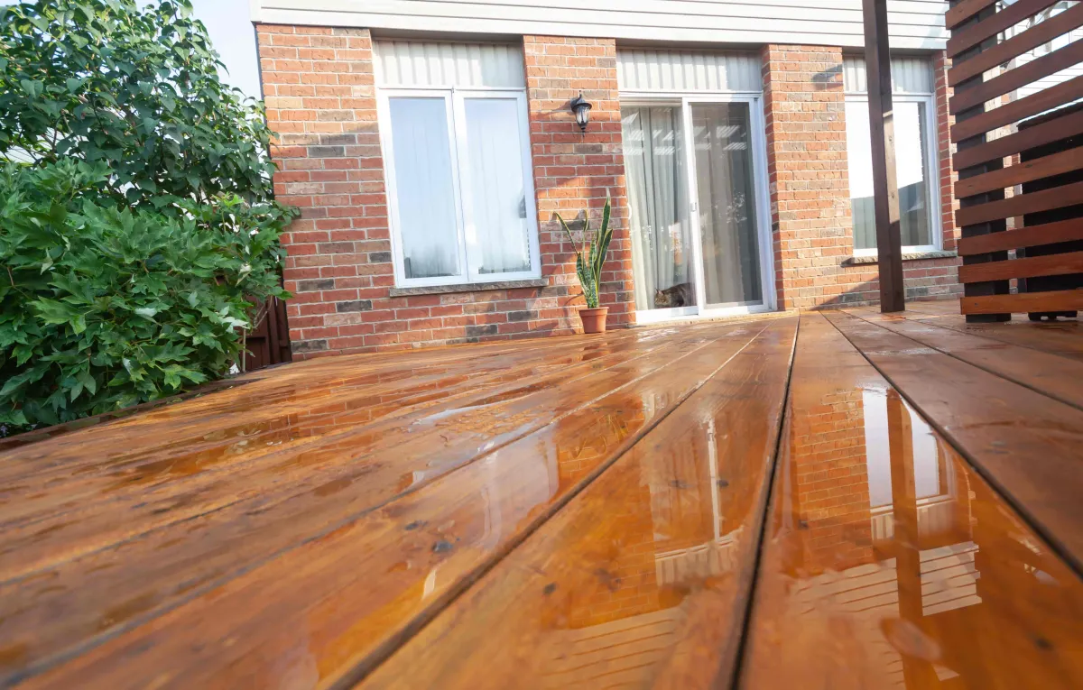 Deck Staining Service