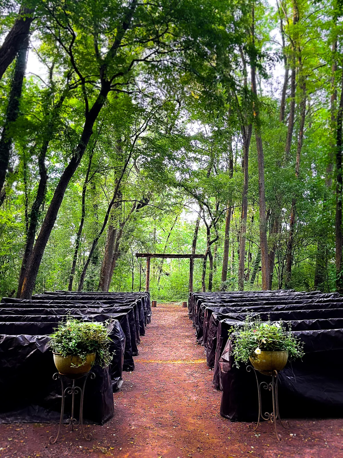 Outdoor wedding ceremony setup in a forested area with rows of covered benches leading to a simple wooden arch. Potted plants add a natural touch to the aisle, blending seamlessly with the lush greenery, capturing Drake Nix’s ability to photograph serene and elegant event settings.