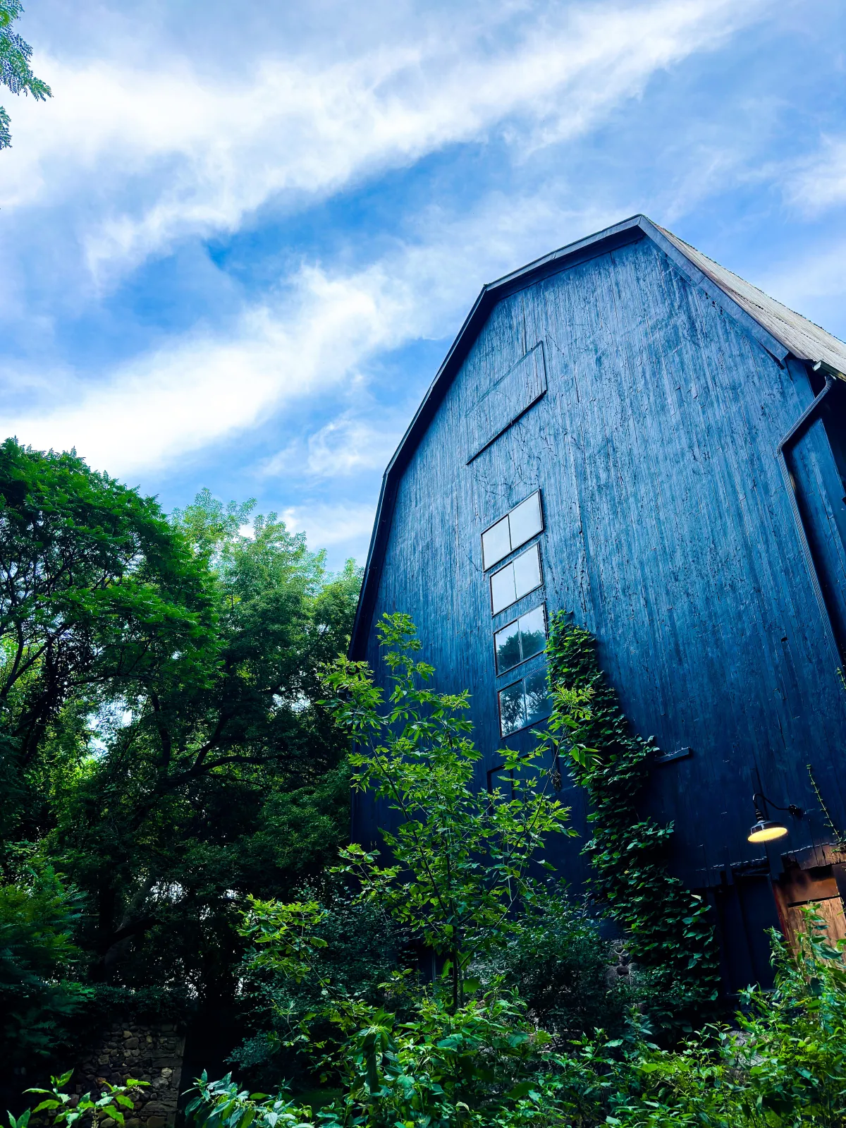 Rustic, tall barn with deep blue wood siding surrounded by lush greenery under a bright sky. Vines climb up the barn’s side, blending the structure with its natural surroundings, highlighting Drake Nix’s skill in capturing rural and organic landscapes.