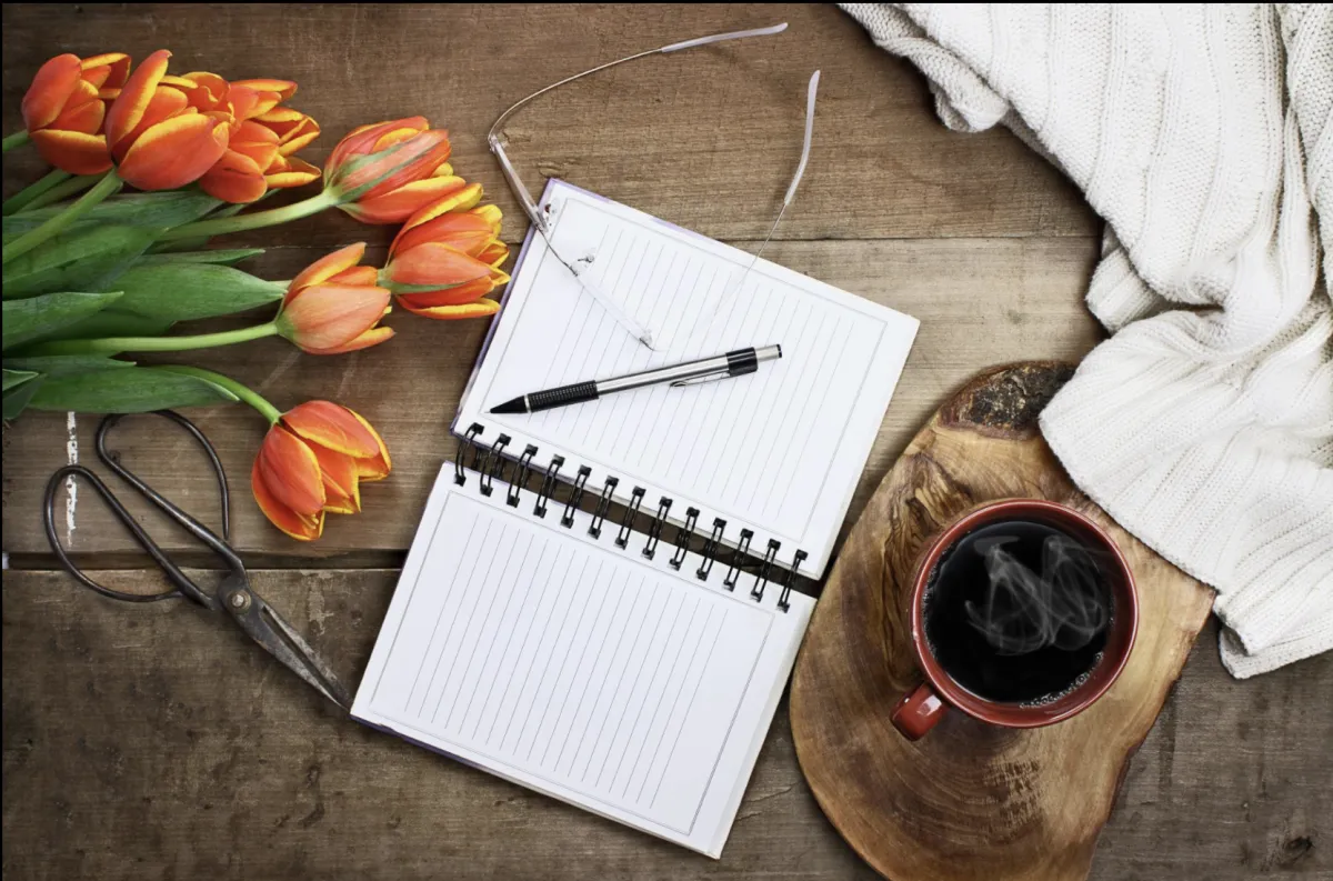 The Soul Story Meaning of Forward