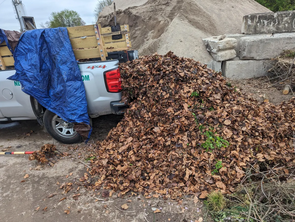 Cluttered yards and overgrown landscapes can leave your property looking messy and neglected. Fallen leaves, branches, and debris not only affect curb appeal but can also invite pests and damage your lawn. New Age Lawn Services offers professional property cleanup services to restore order and keep your outdoor space looking its best.
