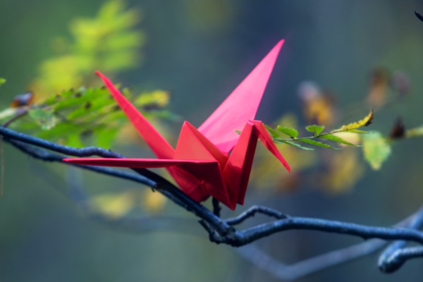 Why More Spiritual Knowledge Falls Short — And What Actually Works