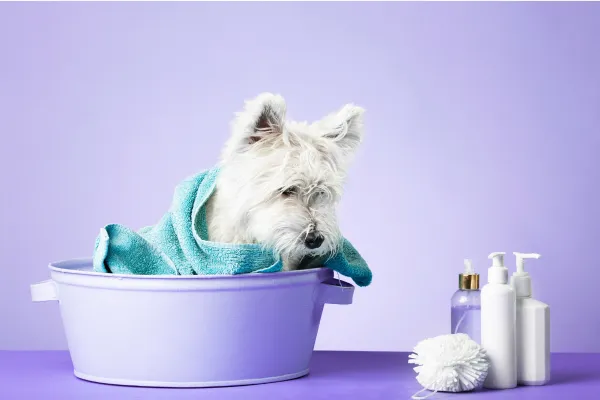 The Five Business Foundations Every New Beauty Salon Owner Needs in Place Before Month Six