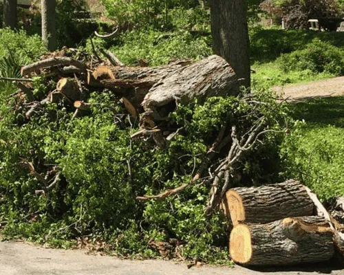 Coeur d’Alene Debris Removal