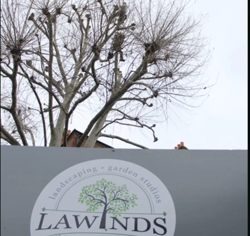 Lawinds Tree Care