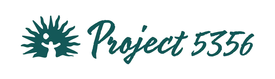 Project 5356 Brand Logo in teal
