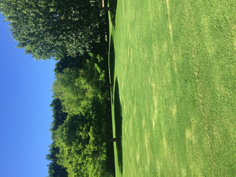 lawn mowing north shore auckland neatly cut residential lawn