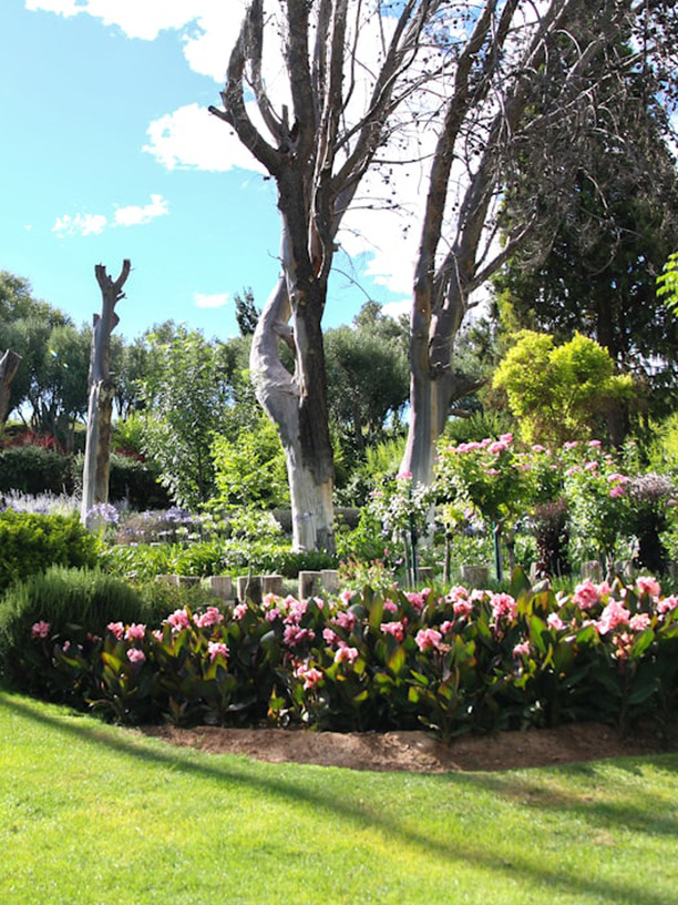 garden maintenance north shore auckland tidy landscaped garden